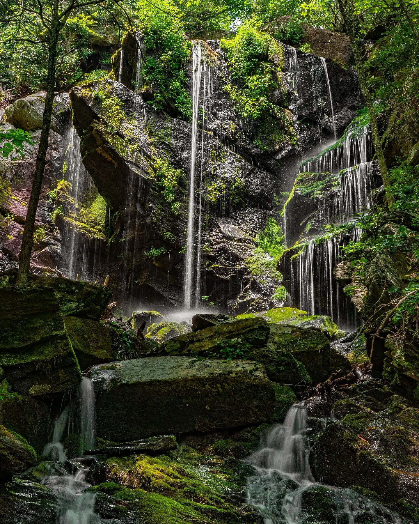 Leslie Restivo | Blue Ridge Parkway | 08 September 2022