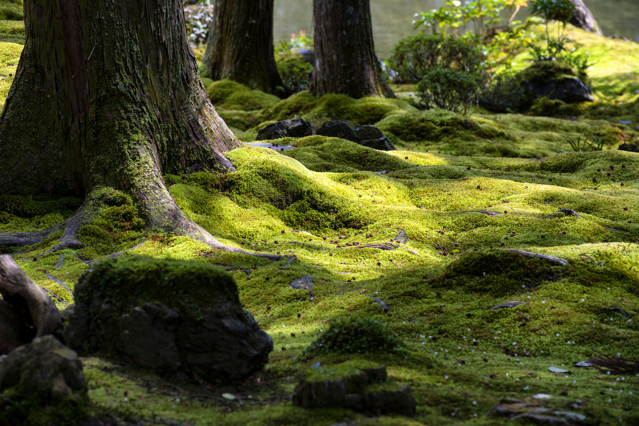 Philippe Hugonnard | Kyoto, Japan